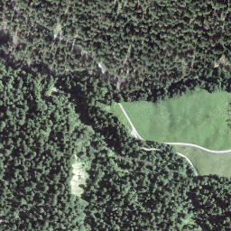 Satellite imagery of Fuchsegg, CH