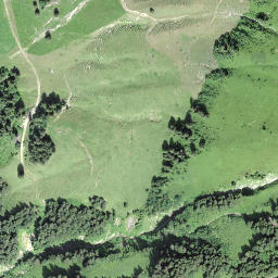 Satellite imagery of Schibegütsch, CH