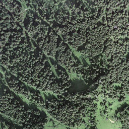 Satellite imagery of Arvidossen, CH