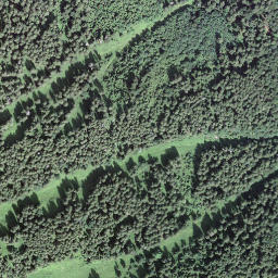 Satellite imagery of Arvidossen, CH
