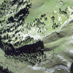 Satellite imagery of Vorstegg, CH
