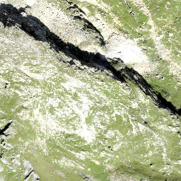 Satellite imagery of Fuortga, CH