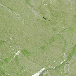 Satellite imagery of Piz la Greala, CH