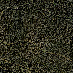 Satellite imagery of Salbrechtkopf, AT
