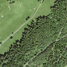 Satellite imagery of Mont des Cerfs, CH