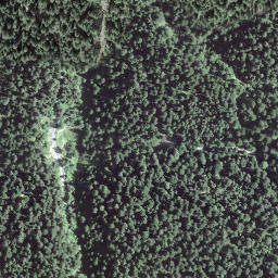 Satellite imagery of Fuchsegg, CH