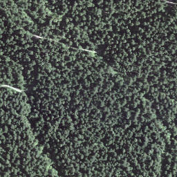 Satellite imagery of Fuchsegg, CH