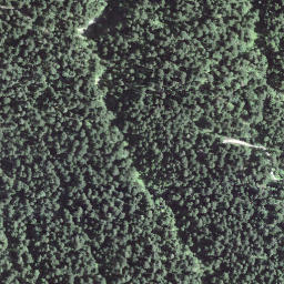 Satellite imagery of Fuchsegg, CH