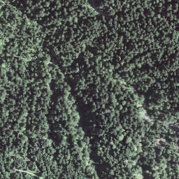 Satellite imagery of Turner, CH