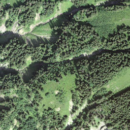 Satellite imagery of Schibegütsch, CH