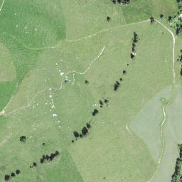 Satellite imagery of Wagliseichnubel, CH