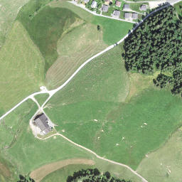 Satellite imagery of Wagliseichnubel, CH