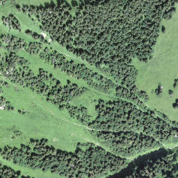 Satellite imagery of Arvidossen, CH