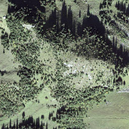 Satellite imagery of Lauistock, CH