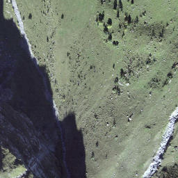 Satellite imagery of Schafbandschnauz, CH