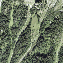 Satellite imagery of Ronenegg, CH