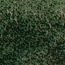 Satellite imagery of La Mutta, CH