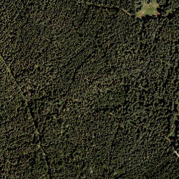 Satellite imagery of Salbrechtkopf, AT