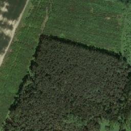 Satellite imagery of survey_point, AT