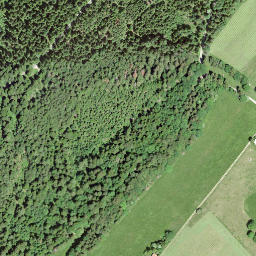 Satellite imagery of Mont des Cerfs, CH