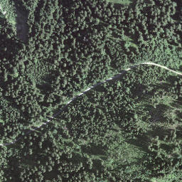 Satellite imagery of Bürkelihubel, CH