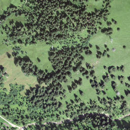 Satellite imagery of Juchli, CH