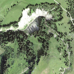 Satellite imagery of Juchli, CH