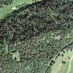 Satellite imagery of Arvidossen, CH