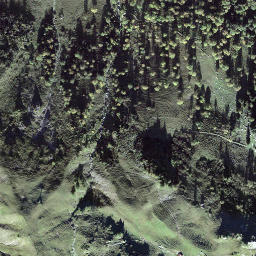 Satellite imagery of Rinderegg, CH