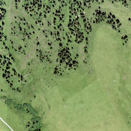 Satellite imagery of Rot Tritt, CH