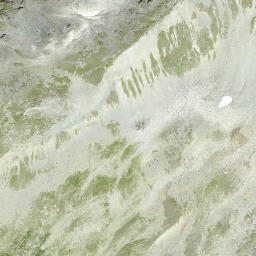 Satellite imagery of Piz d'Anschatscha, CH