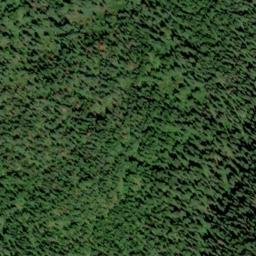 Satellite imagery of Swamp Ridge, US