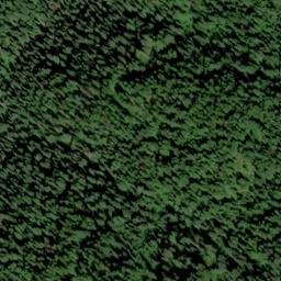 Satellite imagery of Swamp Ridge, US