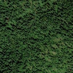 Satellite imagery of Swamp Ridge, US