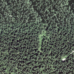 Satellite imagery of Chnübeli, CH