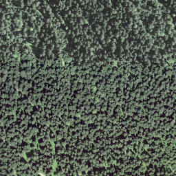Satellite imagery of Chnubelegg, CH