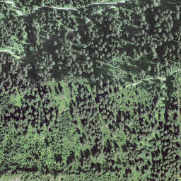 Satellite imagery of Honegg, CH