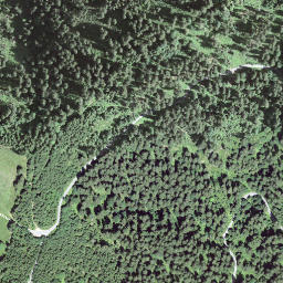 Satellite imagery of Bürkelihubel, CH