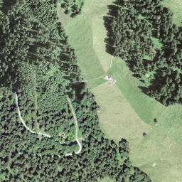 Satellite imagery of Bürkelihubel, CH