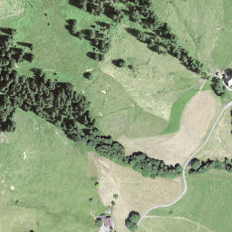 Satellite imagery of Bürkelihubel, CH