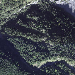 Satellite imagery of Rütiegg, CH
