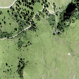 Satellite imagery of Scheidegg, CH