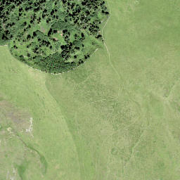 Satellite imagery of Scheidegg, CH