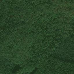 Satellite imagery of Dealul Căprioarei, RO
