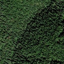 Satellite imagery of Swamp Ridge, US