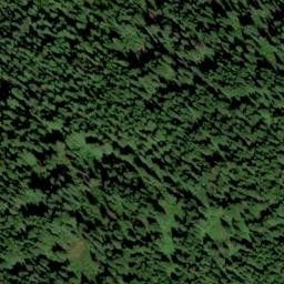 Satellite imagery of Swamp Ridge, US
