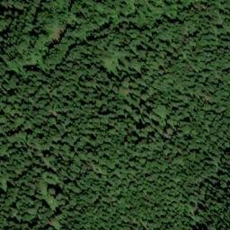 Satellite imagery of Swamp Ridge, US