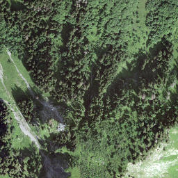 Satellite imagery of Nesslenstock, CH