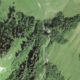 Satellite imagery of Nesslenstock, CH