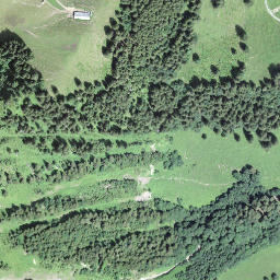 Satellite imagery of Schwarzegg, CH